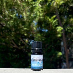 Incense Cedar Essential Oil - Tahoe Petrichor